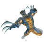 Wolverine jumpshot