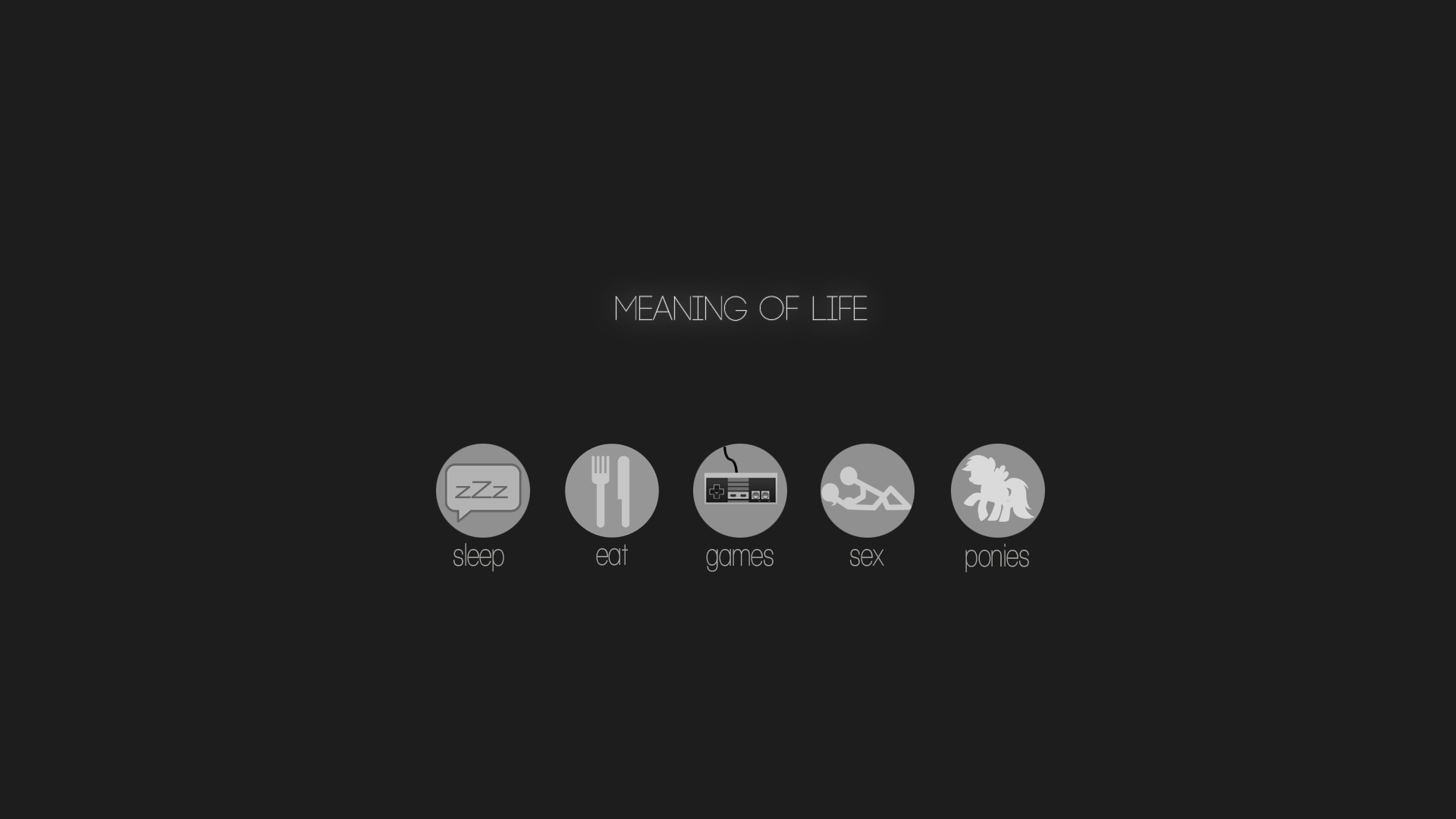 Meaning of Life