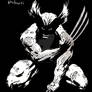 Wolverine Black and White