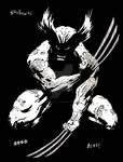 Wolverine Black and White by JesseAllshouse