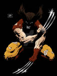 Wolverine by JesseAllshouse