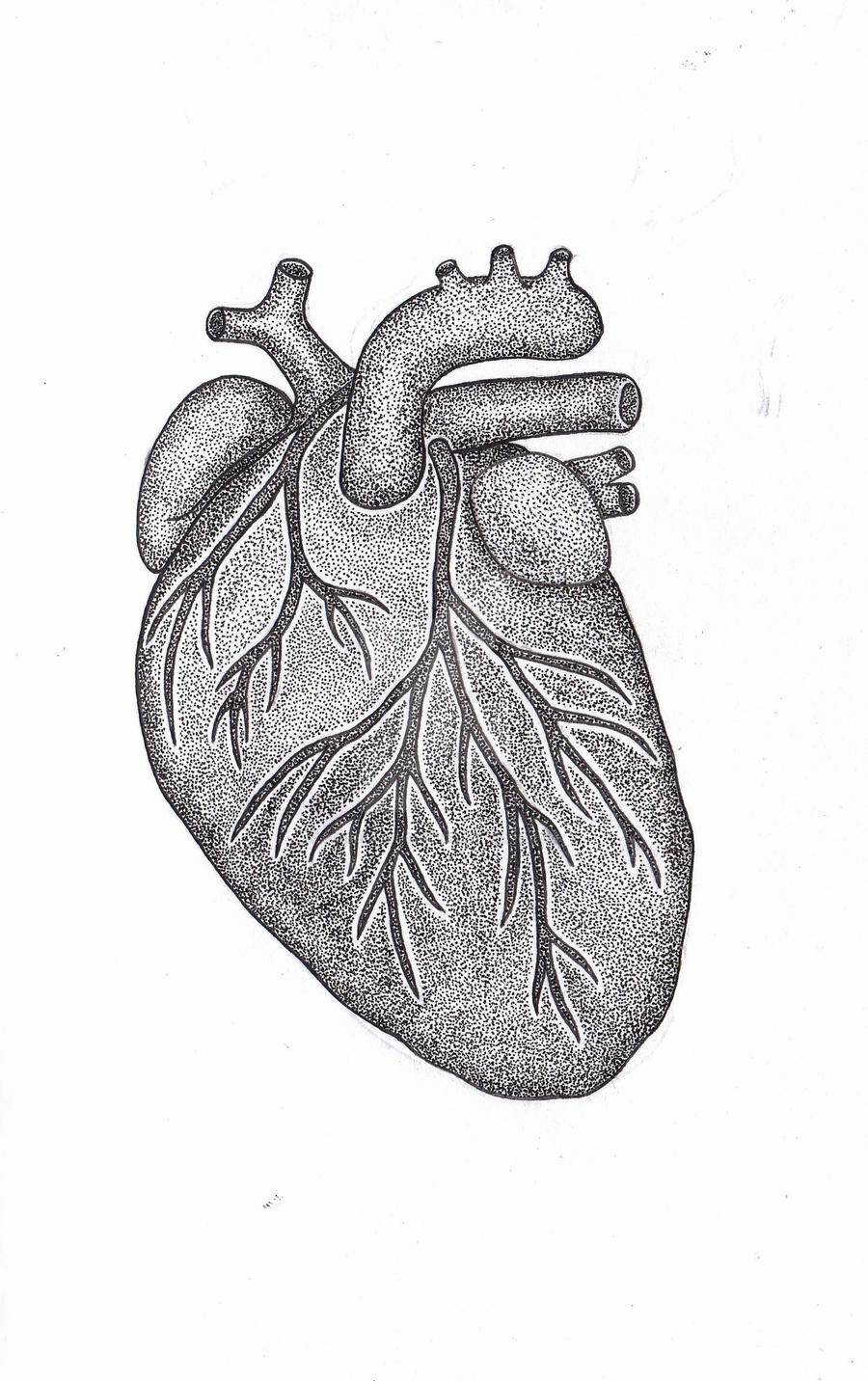 Heart Stippling Pen and Ink by JesseAllshouse on DeviantArt