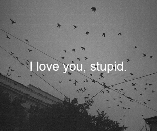 I Love You Stupid By Qwertyhard On Deviantart