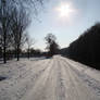 Snow on the road.