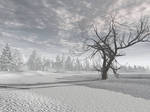winterroad by anne1956