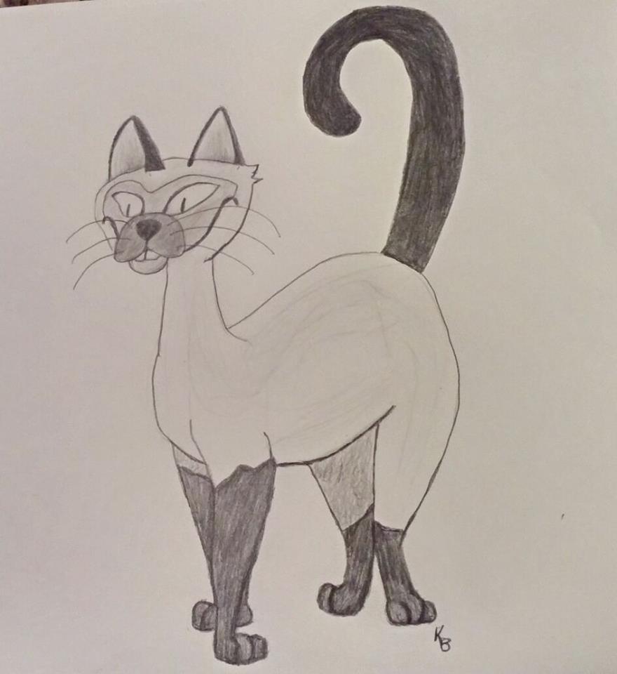 Rough Drawing of Siamese Cat by missbrony28 on DeviantArt