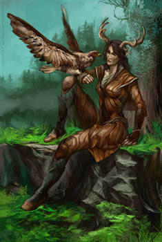 Commission for Evuriel