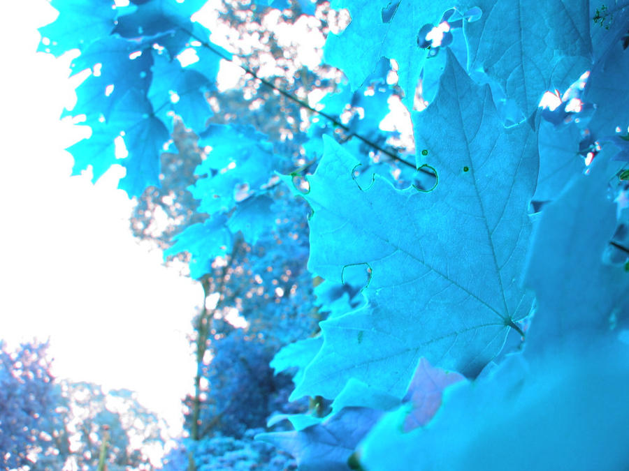 Nature Color Inverted invert nature. by AbstractStructure on DeviantArt