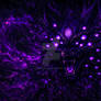 Cosmic kitsune spirit in darkness