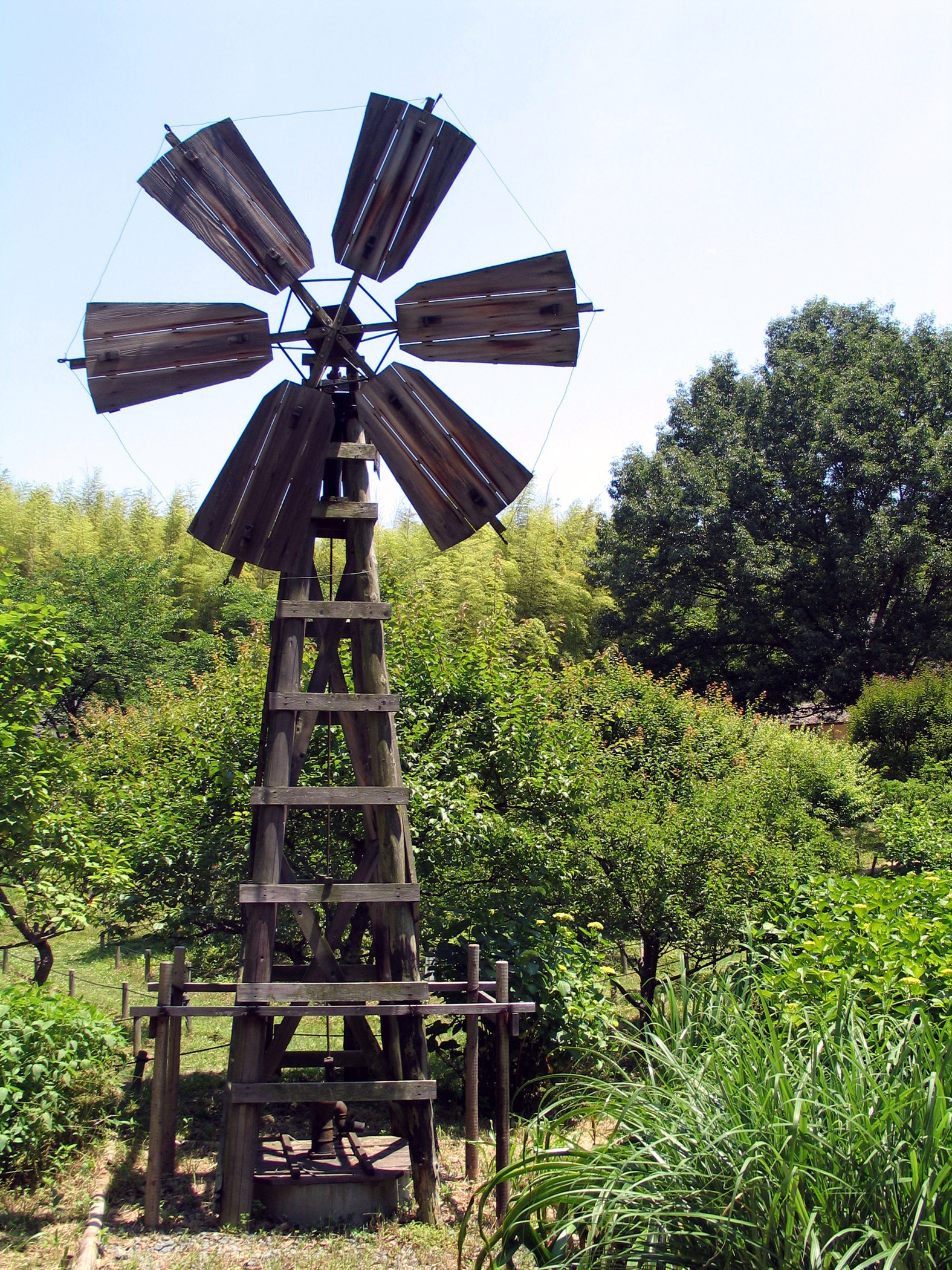 Windmill in Ryokuchi park