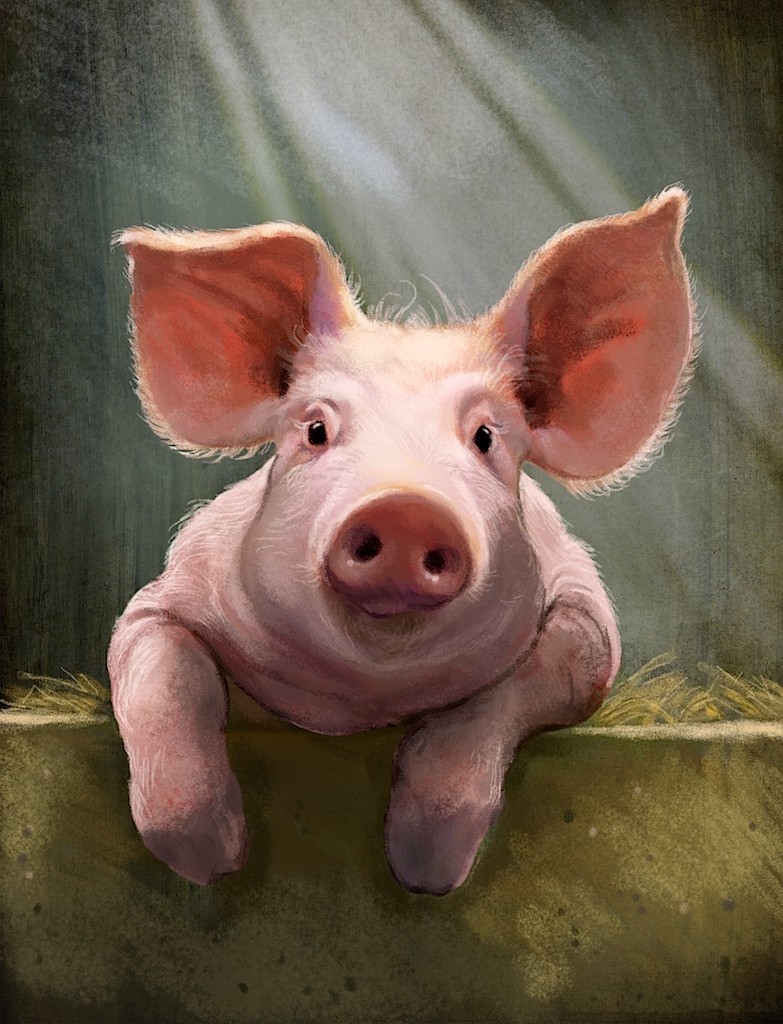 Jeremy Norton illustration - Piggy