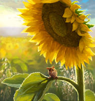 Little Mouse in Sunflower Field