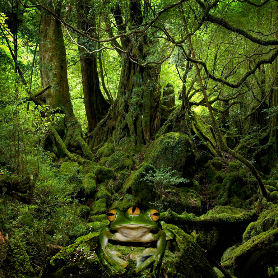 The three eyed frog by D0ctoRSwav on DeviantArt