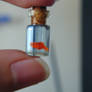 Tiny Goldfish in Bottle