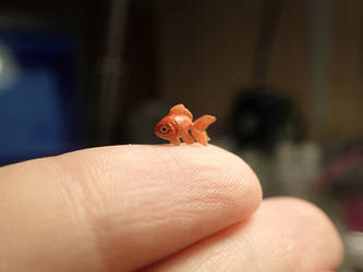 Orange Fancy Goldfish