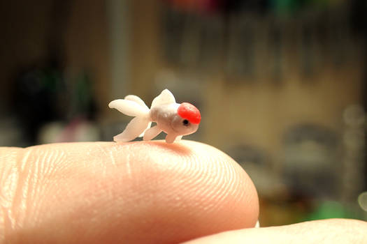 Redcap Goldfish