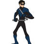 N is for Nightwing