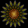 Jwildfire floral pattern
