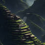 A Nepalese village with terraced fields