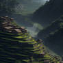 A Nepalese village with terraced fields