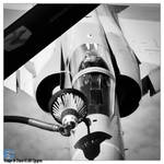 Contact by Cigognes