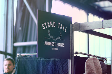 StandTall stand.