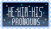 He/Him/His pronouns stamp