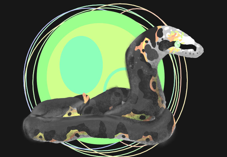 (Ball Python) Sugar Skull (3) by BananaBoldViper on DeviantArt