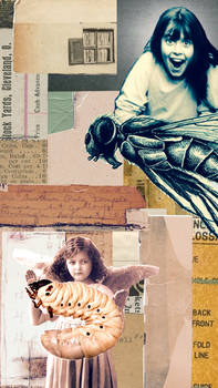 Girls Just Wanna Have Bugs