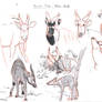 Animal Study - Mountain Bongo Antelope