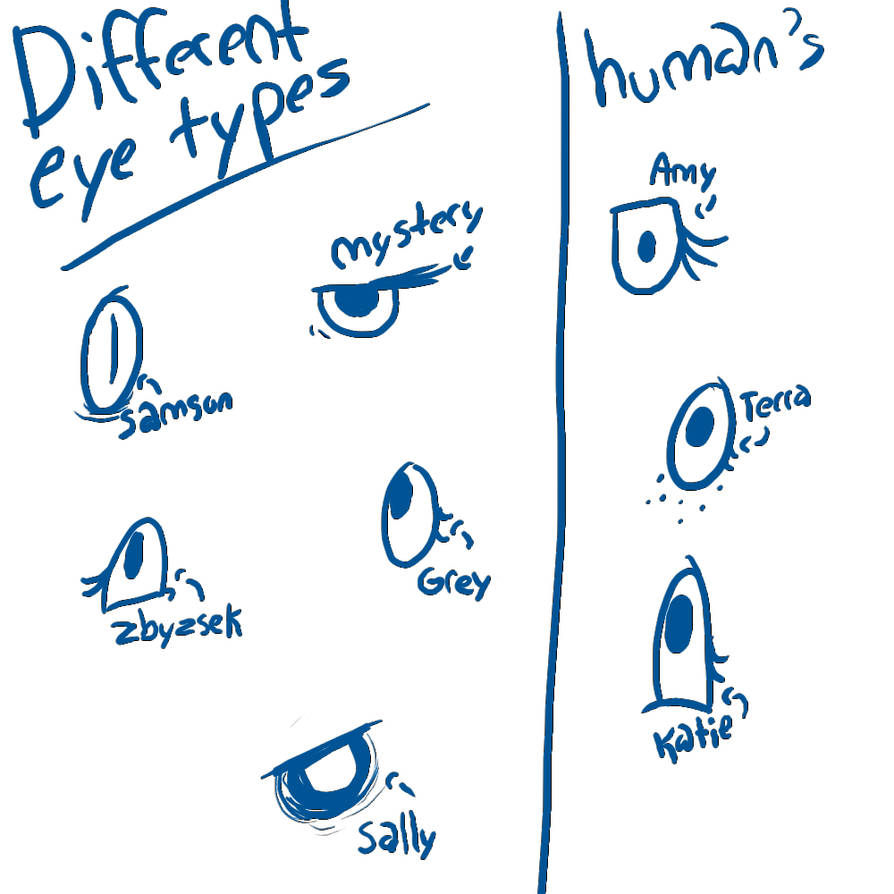 Different Eye types by ihatcak on DeviantArt