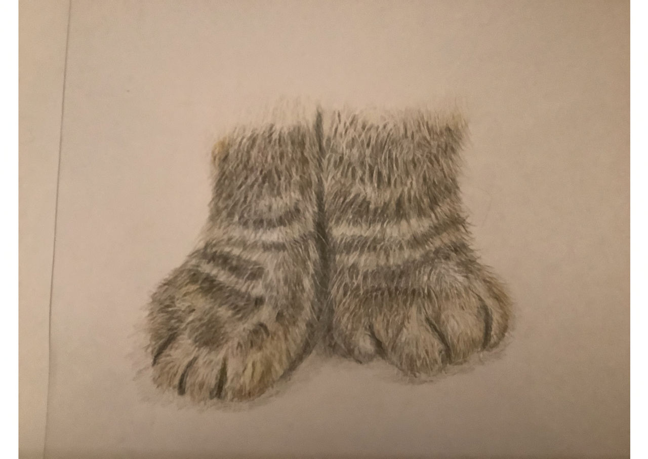 Perfect paws by LindzM on DeviantArt