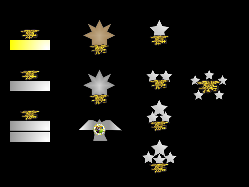 US Navy SEALs Collar Ranks