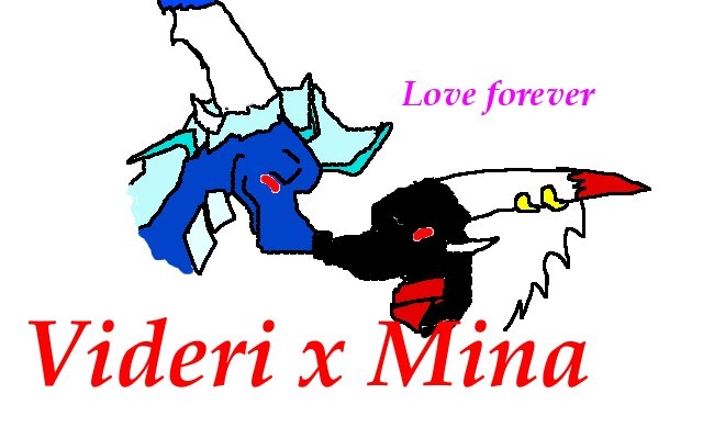 Videri x Mina Love forever