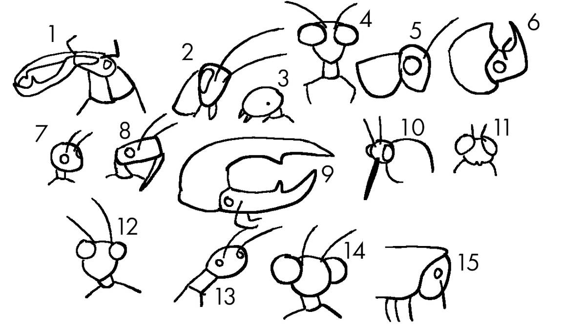Bug Body Base Insect character bases by HetvBalt21 on DeviantArt