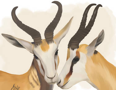Springbok Rugby Deviantart Explore the Best Springbok Art | DeviantArt