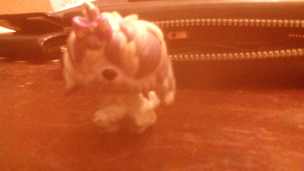 Mop Dog LPS 12