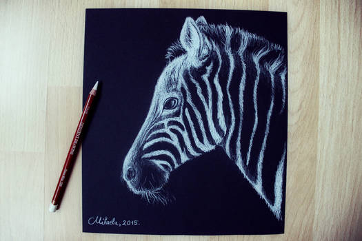 Zebra drawing