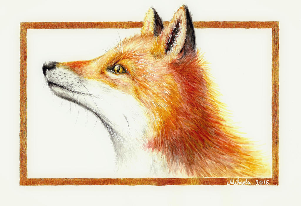 Watercolor fox by red-fox-child