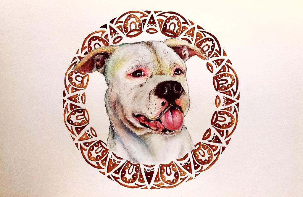 Commissioned dog portrait