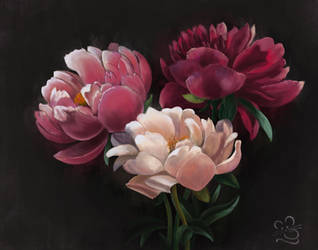 Peonies