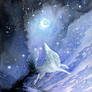 Snow by Night