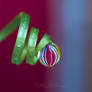 Spirale