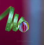 Spirale by fruitpunch1