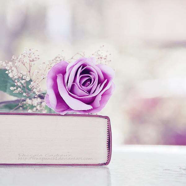 The Book