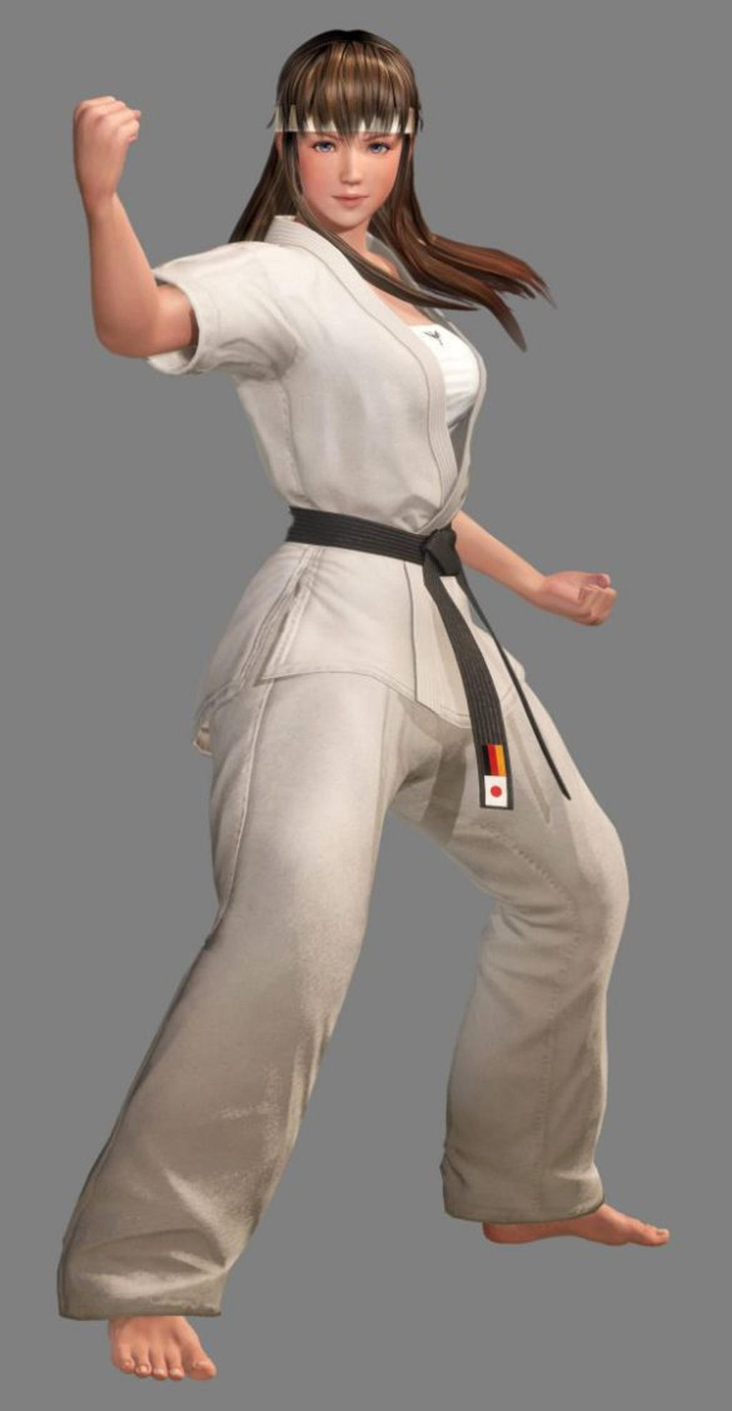 Hitomi - Karate Master 4 (DOA 6) by ChaosEmperor971 on DeviantArt