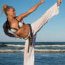 Martial Arts Woman 27