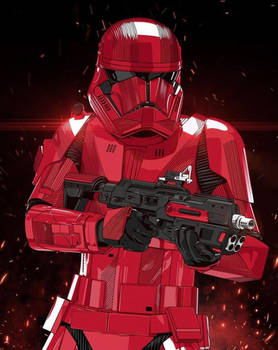 Sith Troopers - The Final Order's Elite Guards 5