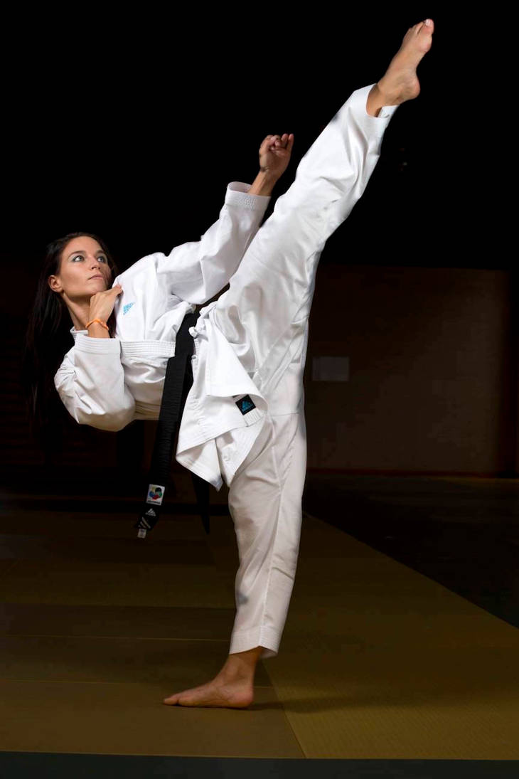 Sarah Cardin - The Whirlwind Queen of Karate by ChaosEmperor971 on ...