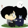 HP : ANGST SNAPE